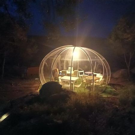 Eucaliptus Farm Retreat Guest House Santa Teresa Gallura Exterior foto