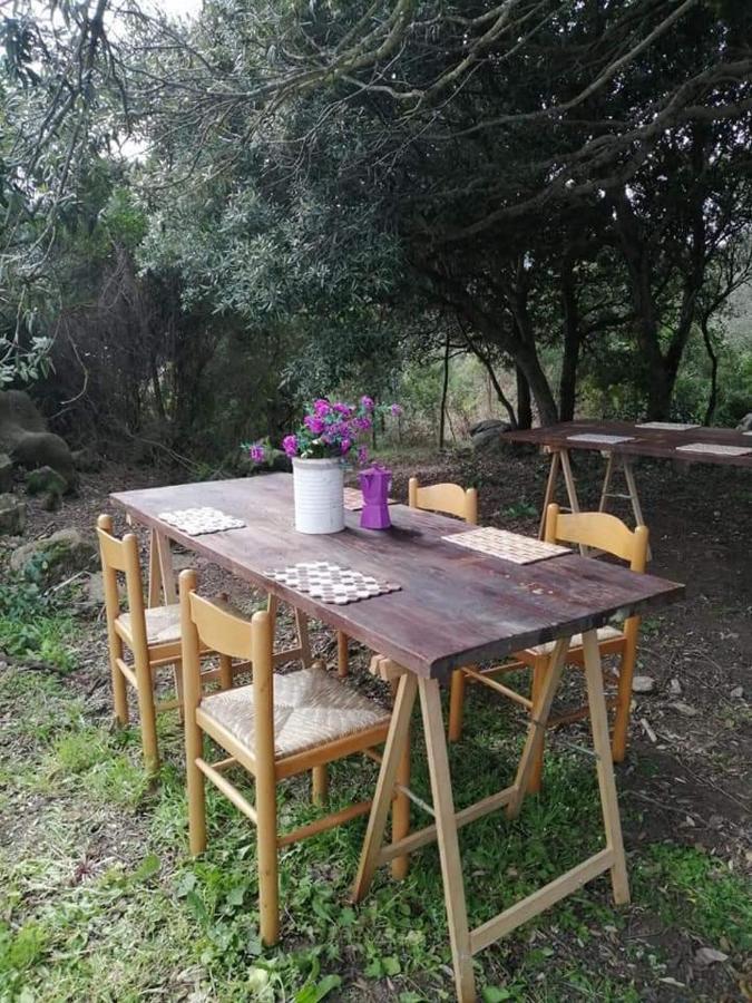 Eucaliptus Farm Retreat Guest House Santa Teresa Gallura Exterior foto