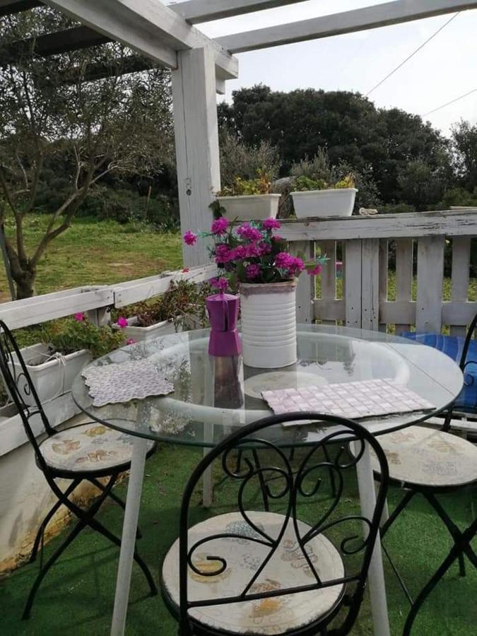 Eucaliptus Farm Retreat Guest House Santa Teresa Gallura Exterior foto