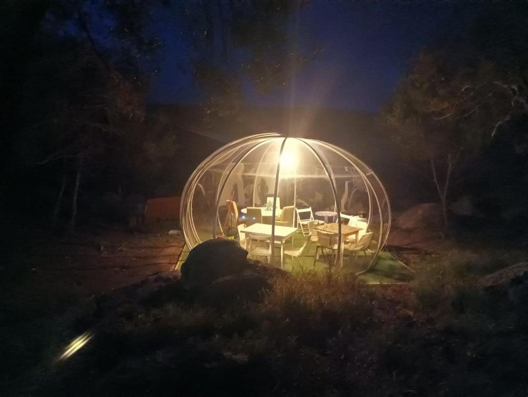 Eucaliptus Farm Retreat Guest House Santa Teresa Gallura Exterior foto