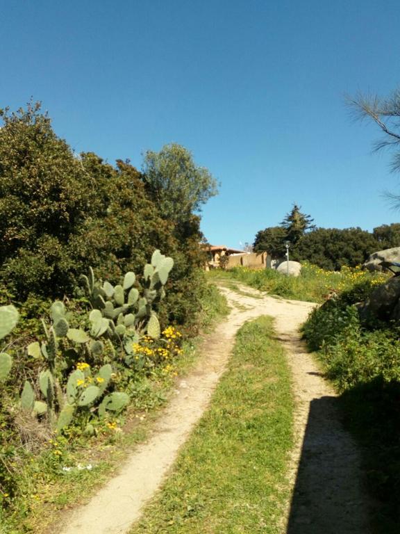 Eucaliptus Farm Retreat Guest House Santa Teresa Gallura Exterior foto