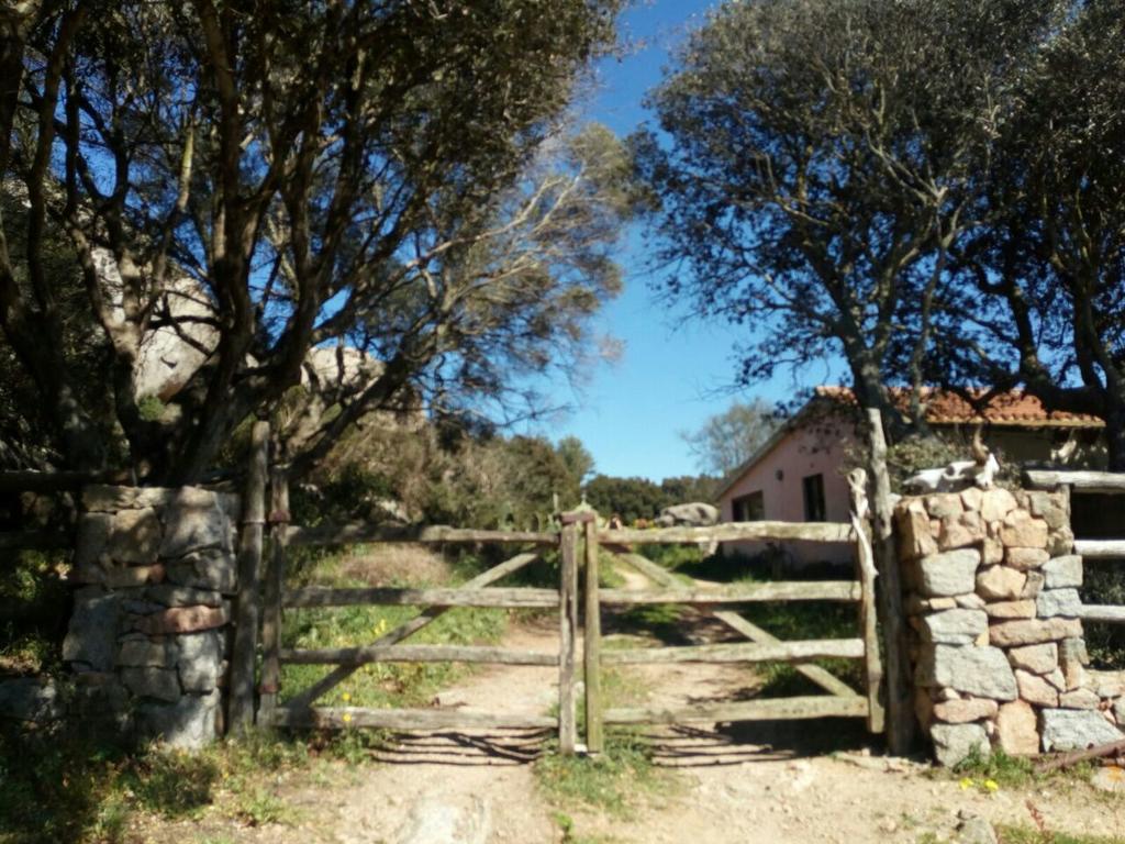 Eucaliptus Farm Retreat Guest House Santa Teresa Gallura Exterior foto