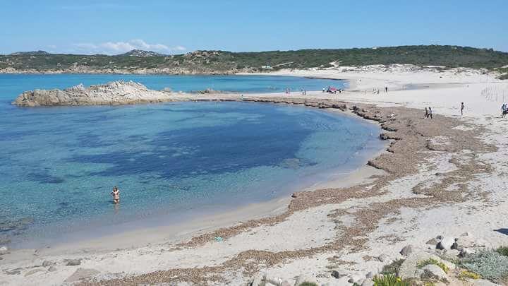 Eucaliptus Farm Retreat Guest House Santa Teresa Gallura Exterior foto