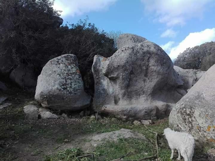 Eucaliptus Farm Retreat Guest House Santa Teresa Gallura Exterior foto