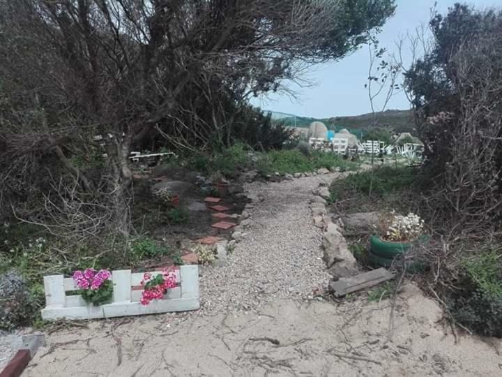 Eucaliptus Farm Retreat Guest House Santa Teresa Gallura Exterior foto