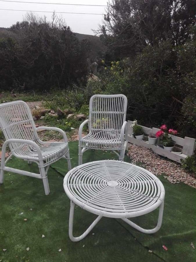 Eucaliptus Farm Retreat Guest House Santa Teresa Gallura Exterior foto